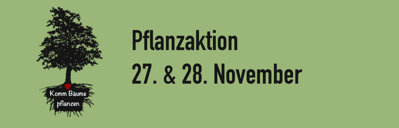 Pflanzaktion
